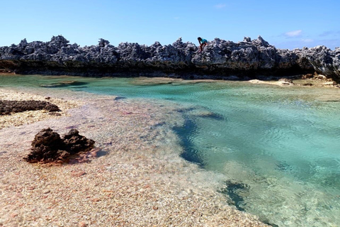 Île aux Récifs and its Natural Pools, Passe de Tiputa, and Aquarium Reef Island and its Natural Pools, Tiputa Pass, and Aquarium