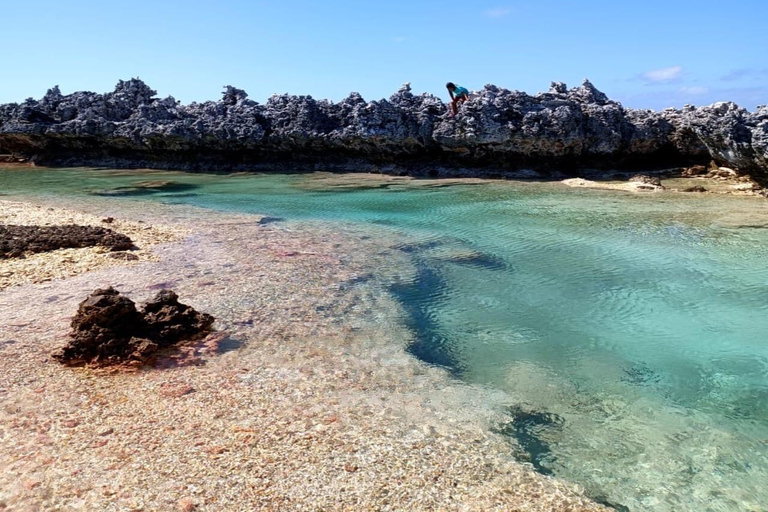 Île aux Récifs and its Natural Pools, Passe de Tiputa, and Aquarium Reef Island and its Natural Pools, Tiputa Pass, and Aquarium