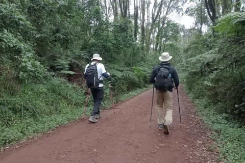 Kilimanjaro: 6-daagse Machame Route Trek, 8-daags avontuur