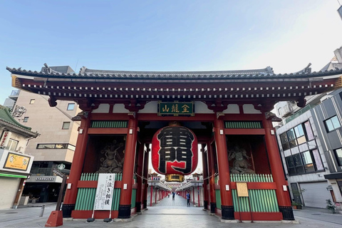Tokyo Prestige: Luxury Chauffeur Tour with Private Guide 10 Hours Customized Tokyo Tour in Luxury Alford or Vellfire