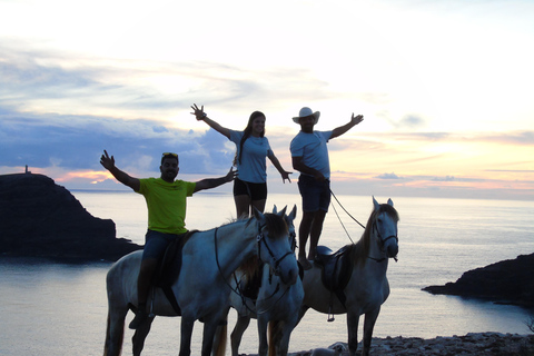 Isla de Porto Santo: Paseos a caballo180 min Aventura