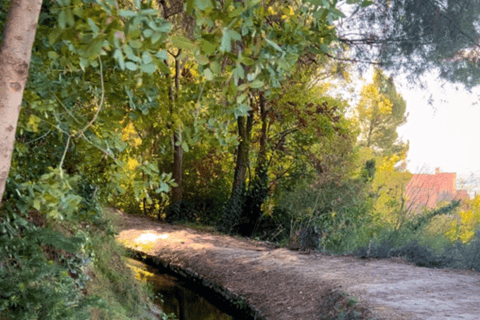 Wycieczka biegowa w Granadzie