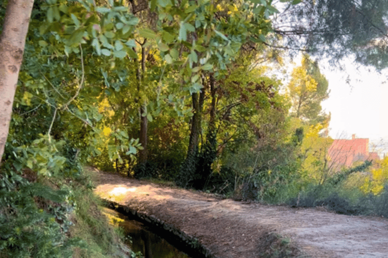 Wycieczka biegowa w Granadzie