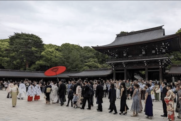Tokyo: Private City Tour with Tokyo TeamLab Planets.