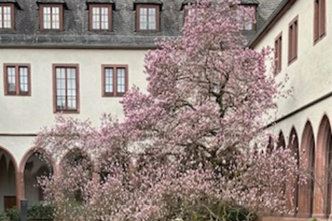 Frankfurt te voet Dagelijkse Wandeltour in het Engels