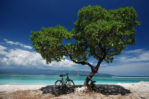 Snorkeling exclusif avec GoPro : Gili Trawangan AdventuresExcursion privée de 4 heures de plongée en apnée avec GoPro