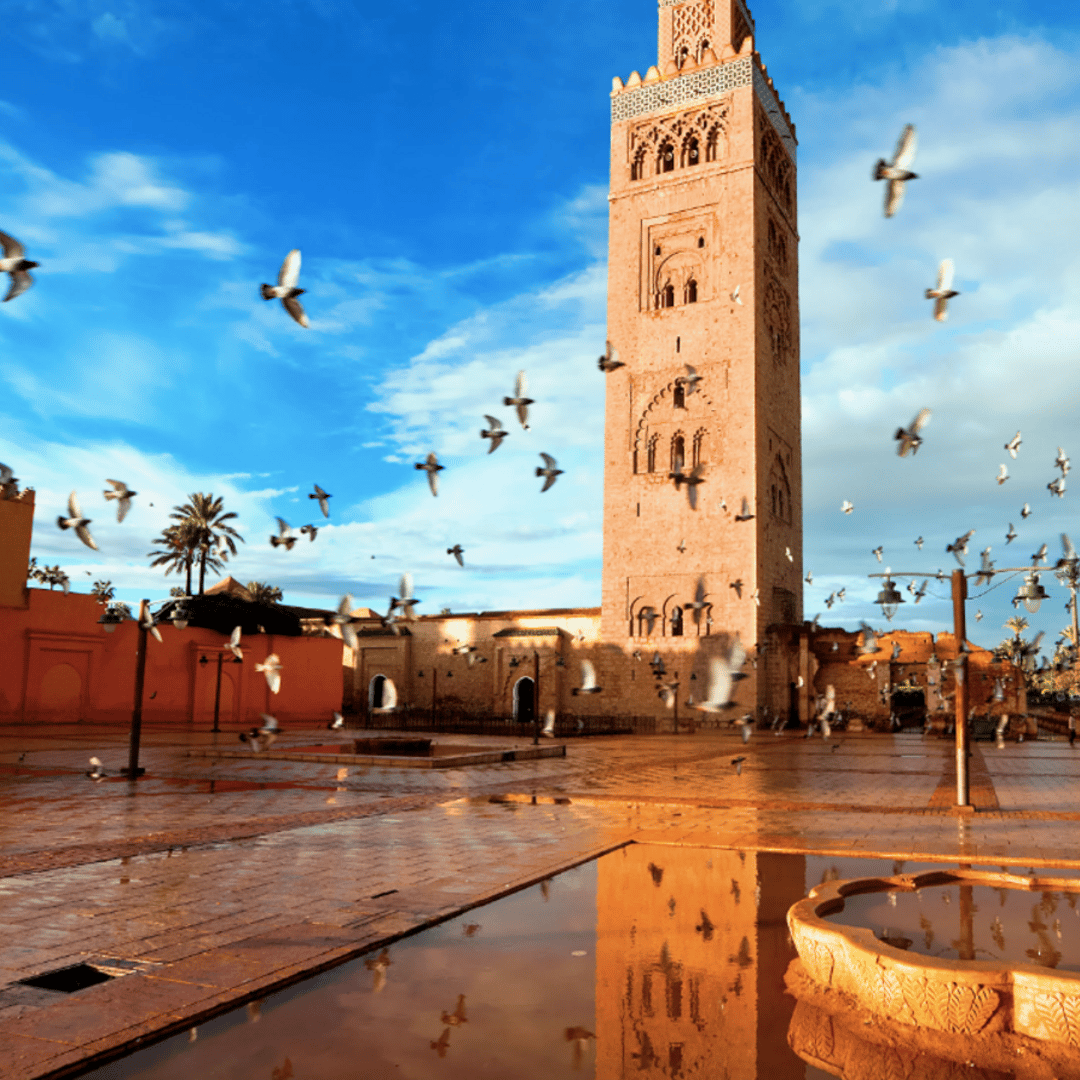 Marrakech : L'ancien et le nouveau Marrakech : visite guidée privée d'une journée entière - excursion
