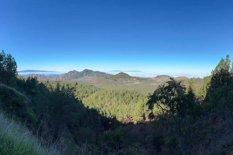 Tenerife: premium e-bike ride at Chineyro volcanic area