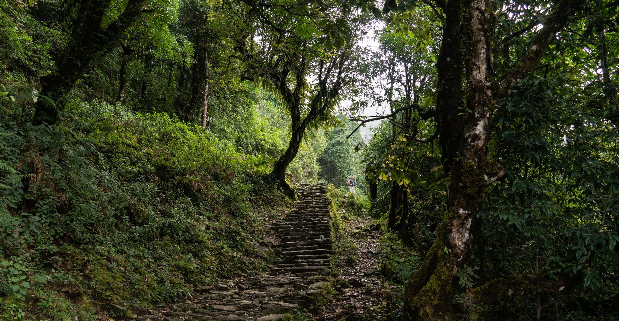 Mardi Himal, 9-Day Trekking Tour with Local Guide - Housity
