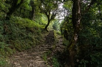 Mardi Himal, 9-Day Trekking Tour with Local Guide - Housity