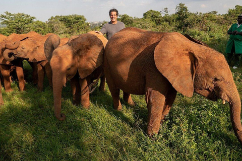 Nairobi National Park&Elephant Orphanage&Giraffe Centre Tour