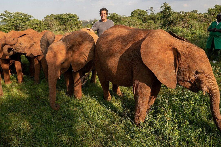 Nairobi National Park&Elephant Orphanage&Giraffe Centre Tour
