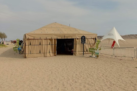 Lima: Ica Camel ride + Huacachina + "Adventure in the Desert" pool Lima: Ica Camel Ride + Huacachina + Swimming Pool "Adventure in the Desert"