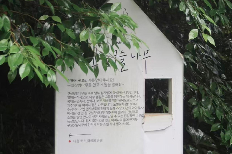 Jeju: Camellia Hill Admission & Seasonal Photo Guide