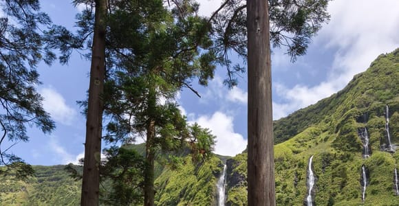 Flores Island Full-Day Tour- with a Biologist