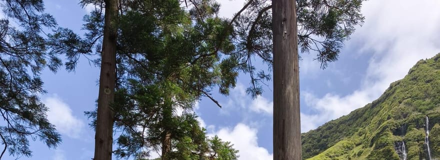 Visite d'une jounée sur l'île de Flores