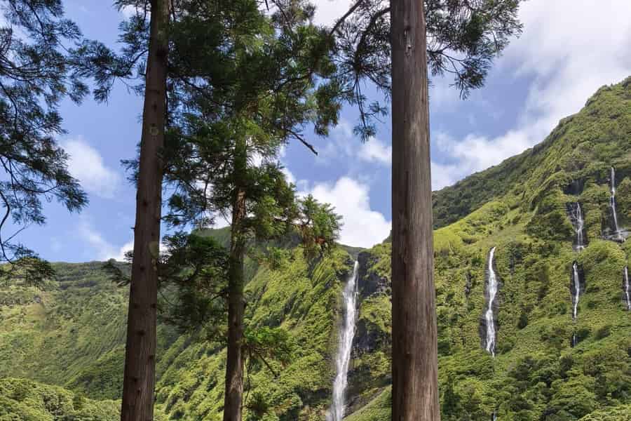 Tagestour zur Insel Flores. Foto: GetYourGuide