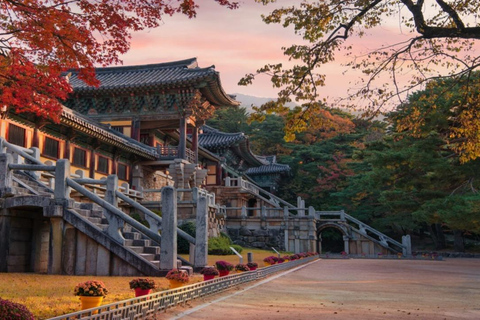 From Busan: Gyeongju Highlights Day Tour with Hotel Pickup
