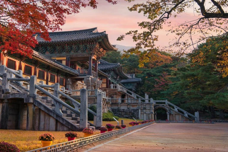 From Busan: Gyeongju Highlights Day Tour with Hotel Pickup