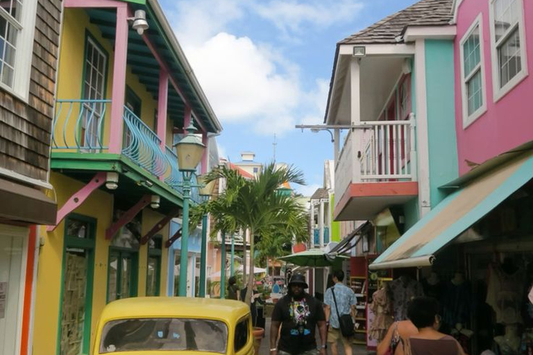 St. Maarten: Cruise Passenger Electric Bike Rental 6-Hour E-Bike