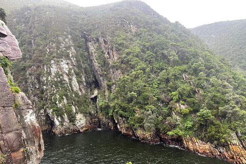 Tsitsikamma Day Trip with Optional Activities
