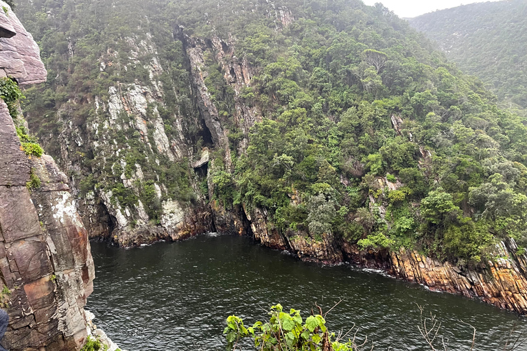Tsitsikamma Day Trip with Optional Activities