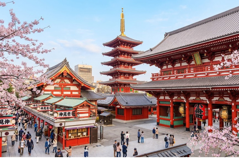 Tokyo City Tour: Private Full-Day Tour with Hotel Pickup Comfortable, air-conditioned Vellfire for 1–6 guests-8- Hour