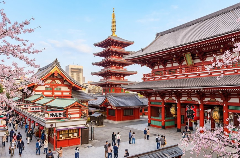 Tokyo City Tour: Private Full-Day Tour with Hotel Pickup Comfortable, air-conditioned Vellfire for 1–6 guests-8- Hour