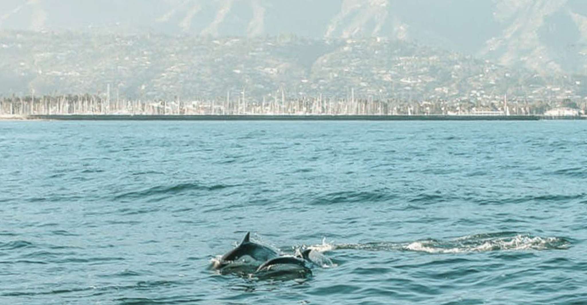 Santa Barbara, Catamaran Sunset Cruise - Hizvo