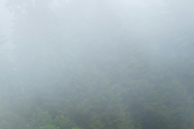 Batumi: Rafting, Waterfall, and Georgian Supra Day Trip