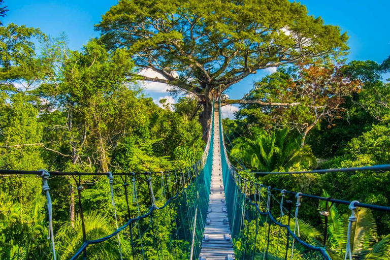 Puerto Maldonado: 3-Day Tambopata Reserve Photo Tour