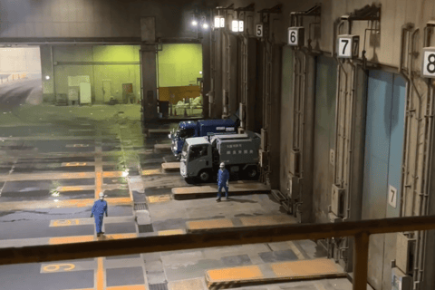 Osaka: Mystery Plant Tour with Guide
