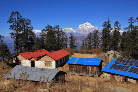 Mohare Danda Trek med barn