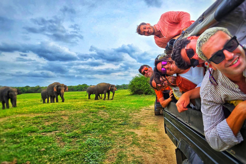 From Sigiriya/Habarana: Hurulu Eco Park Wild Elephant Safari From Sigiriya/Habarana: Minneriya /Kaudulla Elephant Safari