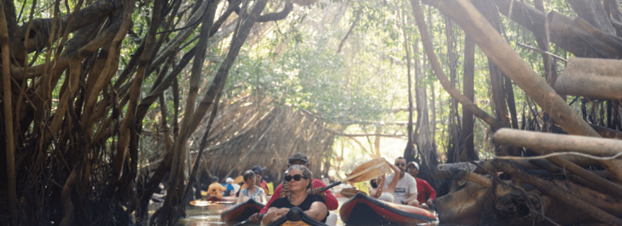 Khao Lak : excursion en canoë dans la petite Amazonie et visite de la vieille ville avec déjeuner