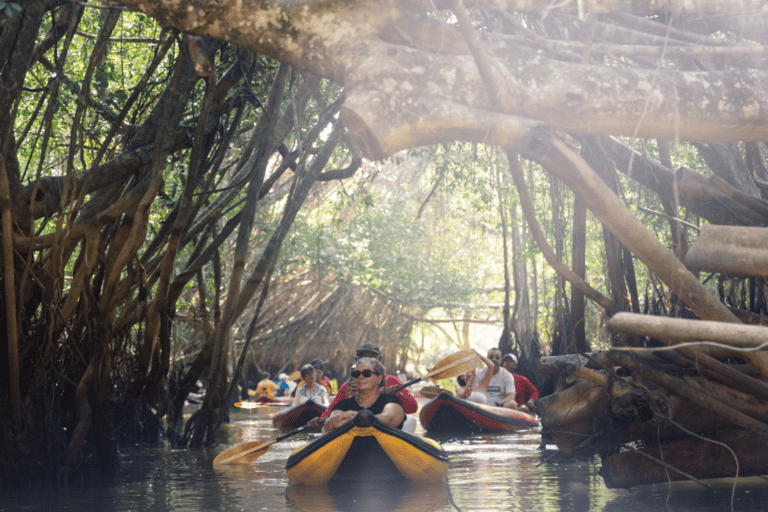 Khao Lak: Kleine Amazonas-Kanutour &amp; Altstadttour mit MittagessenKhao Lak: Kleine Amazonas-Kanufahrt &amp; Tour durch die Altstadt mit Mittagessen