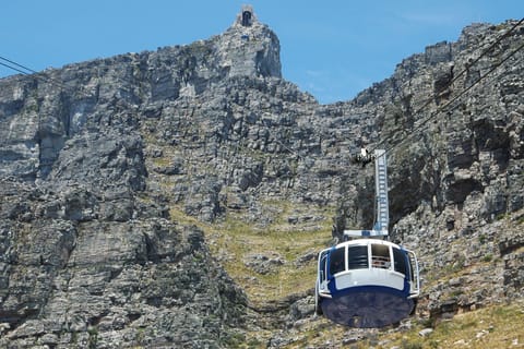 Cape Town: Table Mountain, Cape Point & Boulders Beach Tour