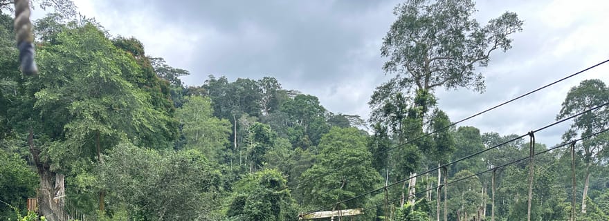 Accra : Circuit de 2 jours à Cape Coast et Elmina avec le parc de Kakum