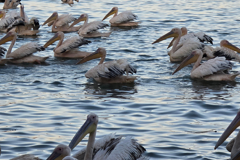 Bahir Dar:2-Day Blue Nile Falls & Lake Tana Monasteries Tour