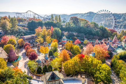 Billet d&#039;entrée au parc d&#039;attractions Everland