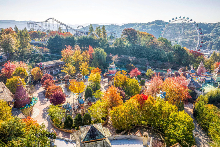 Billet d&#039;entrée au parc d&#039;attractions Everland