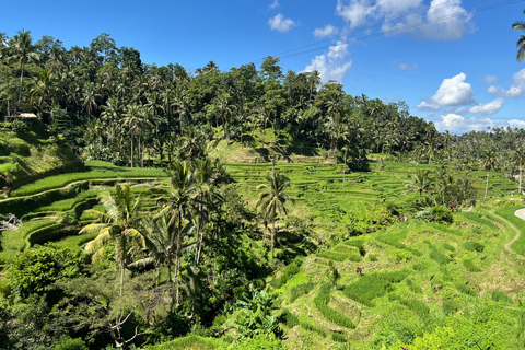 Ubud:Foresta delle scimmie, terrazze di riso, templi d&#039;acqua e cascate