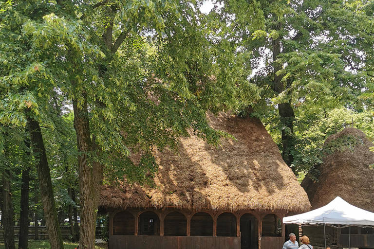 Bukarest: Village Museum Guidad tur