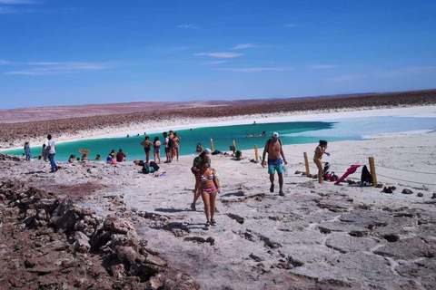 San Pedro Atacama: Lagunas de Baltinache y tour en autobús mágico