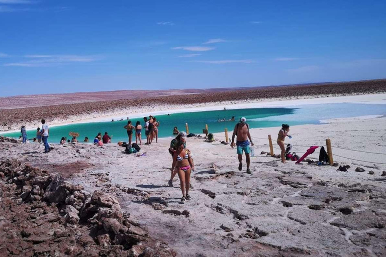 San Pedro Atacama : Lagunes de Baltinache et visite en bus magique