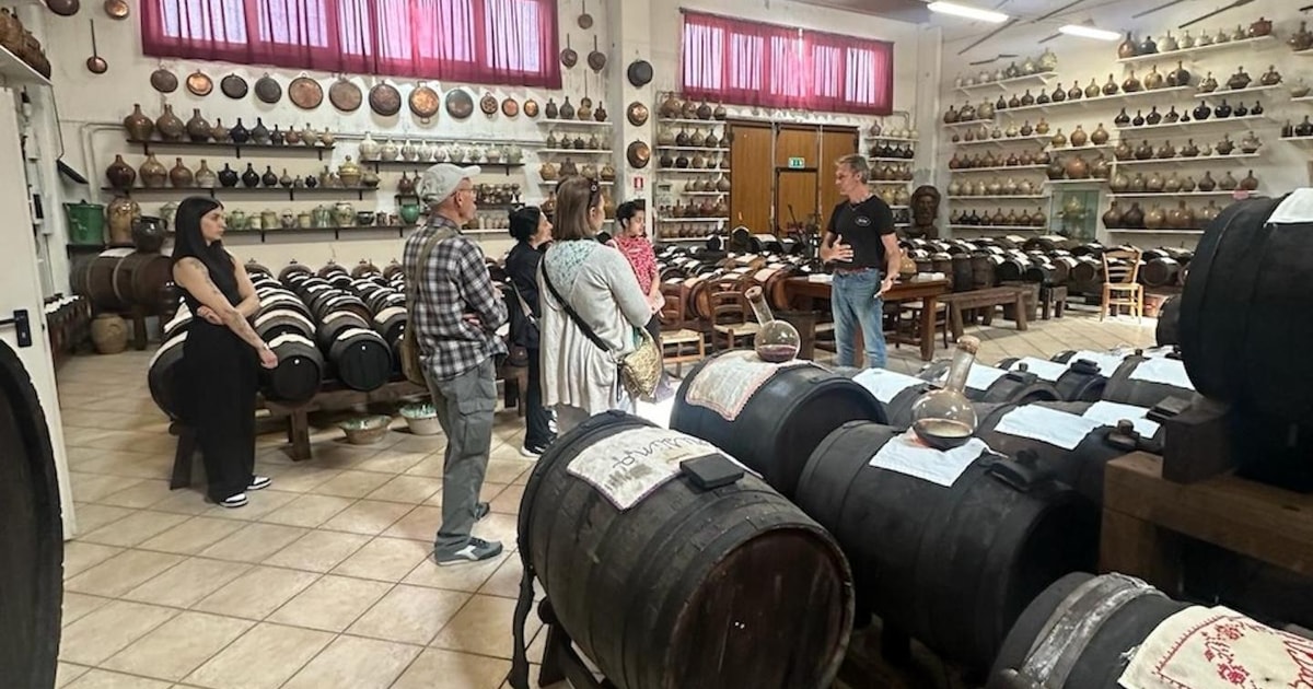 Parmesan und Balsamico Foodtour mit Ferrari Museum | GetYourGuide
