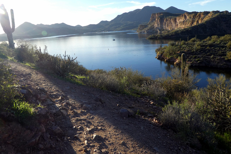 Mesa: Saguaro Lake View Hike