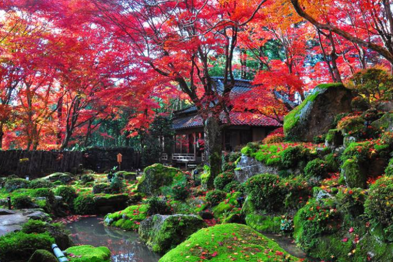 From Osaka: Miho Museum, Lake Biwa,Waterbird Shrine Day Tour Kyoto Station pick up 9:50AM