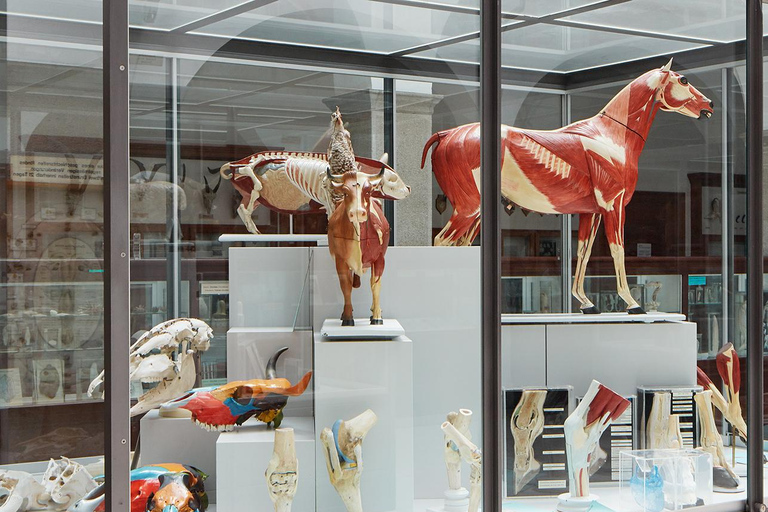 ETH Zurich Tour: Under the Skin