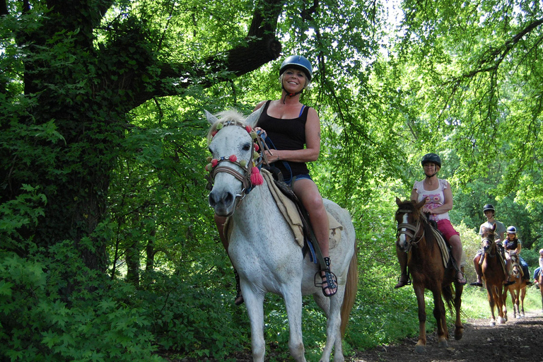 Marmaris: Horseback Riding in the Forest w/Hotel Pickup